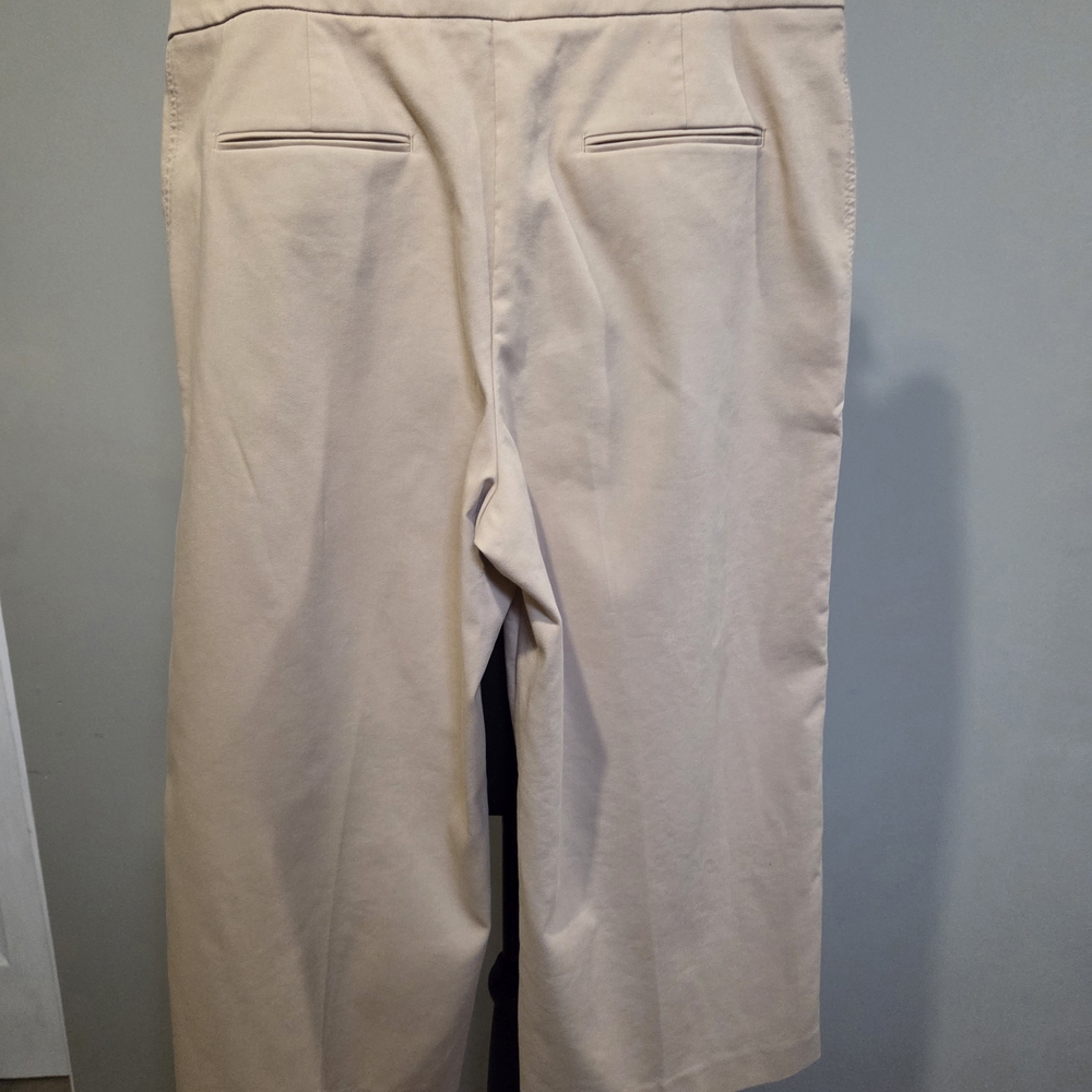 Ann Taylor Tan Pants - Picture 5 of 6